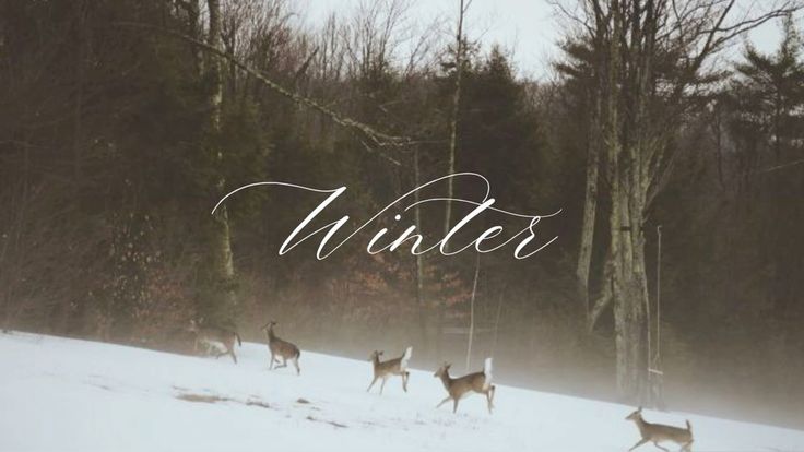 Winter is a Season the Skin Remembers