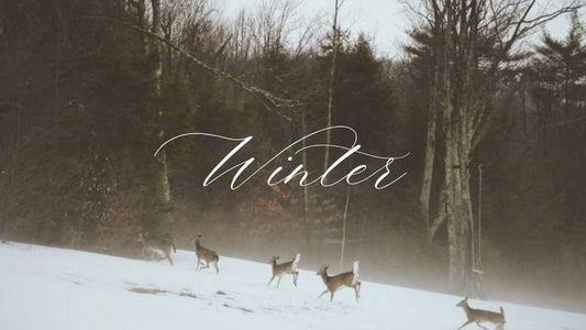 Winter is a Season the Skin Remembers